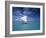 Piragoe, Ile Des Pins, New Caledonia-Neil Farrin-Framed Photographic Print