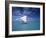 Piragoe, Ile Des Pins, New Caledonia-Neil Farrin-Framed Photographic Print