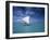 Piragoe, Ile Des Pins, New Caledonia-Neil Farrin-Framed Photographic Print