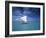 Piragoe, Ile Des Pins, New Caledonia-Neil Farrin-Framed Photographic Print