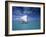 Piragoe, Ile Des Pins, New Caledonia-Neil Farrin-Framed Photographic Print