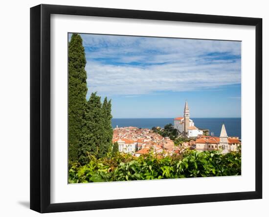 Piran, Primorska, Slovenia. Overeall view of the town and of St. George's cathedral from the Tow...-null-Framed Photographic Print