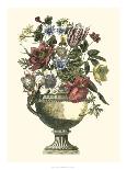Floral Splendor I-Piranesi Giovanni-Mounted Art Print