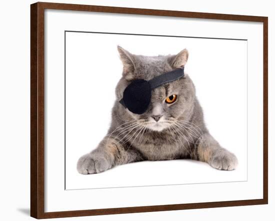 Pirate Cat-eAlisa-Framed Photographic Print