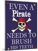 Pirate Must Brush-Taylor Greene-Mounted Art Print