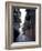 Pirate's Alley-Carol Highsmith-Framed Photo