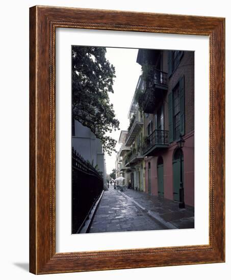 Pirate's Alley-Carol Highsmith-Framed Photo