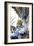 Pirate Treasure-Newell Convers Wyeth-Framed Art Print
