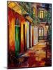 Pirates Alley By Night-Diane Millsap-Mounted Art Print