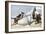 Pirates Around a Rowboat on An Island-null-Framed Giclee Print