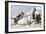 Pirates Around a Rowboat on An Island-null-Framed Giclee Print