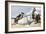 Pirates Around a Rowboat on An Island-null-Framed Giclee Print