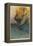 Pirates Attacking a Spanish Galleon in the West Indies-Howard Pyle-Framed Premier Image Canvas