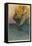 Pirates Attacking a Spanish Galleon in the West Indies-Howard Pyle-Framed Premier Image Canvas