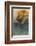 Pirates Attacking a Spanish Galleon in the West Indies-Howard Pyle-Framed Photographic Print