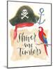 Pirates IV on White-Jenaya Jackson-Mounted Art Print