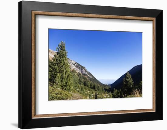 Pirin National Park, UNESCO World Heritage Site, Bansko, Bulgaria, Europe-Christian Kober-Framed Photographic Print