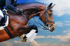 Bay Horse in Jumping Show against Blue Sky-pirita-Photographic Print