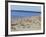 Pirita Beach, Estonia, Baltic States-Yadid Levy-Framed Photographic Print