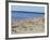 Pirita Beach, Estonia, Baltic States-Yadid Levy-Framed Photographic Print