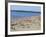 Pirita Beach, Estonia, Baltic States-Yadid Levy-Framed Photographic Print