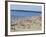 Pirita Beach, Estonia, Baltic States-Yadid Levy-Framed Photographic Print