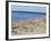 Pirita Beach, Estonia, Baltic States-Yadid Levy-Framed Photographic Print