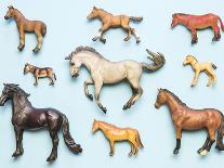 Flat Lay View of Neatly Arranged Plastic Horse Toys-pirke-Photographic Print