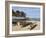 Pirogues (Fishing Boats) on Beach, Goree Island, Near Dakar, Senegal, West Africa, Africa-Robert Harding-Framed Photographic Print