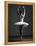 Pirouette-Design Fabrikken-Framed Premier Image Canvas