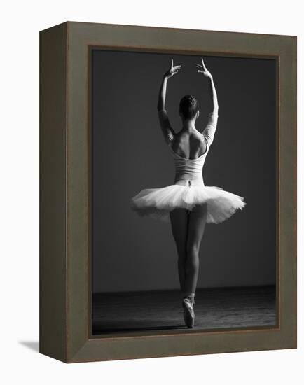 Pirouette-Design Fabrikken-Framed Premier Image Canvas