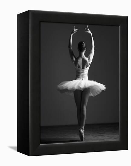 Pirouette-Design Fabrikken-Framed Premier Image Canvas