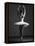 Pirouette-Design Fabrikken-Framed Premier Image Canvas