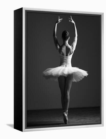 Pirouette-Design Fabrikken-Framed Premier Image Canvas