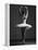 Pirouette-Design Fabrikken-Framed Premier Image Canvas