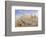 Pisa, 1889-Albert Goodwin-Framed Premium Giclee Print