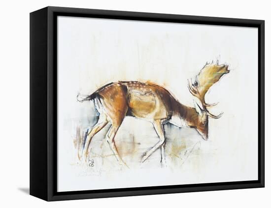 Pisanello Buck, 2006-Mark Adlington-Framed Premier Image Canvas