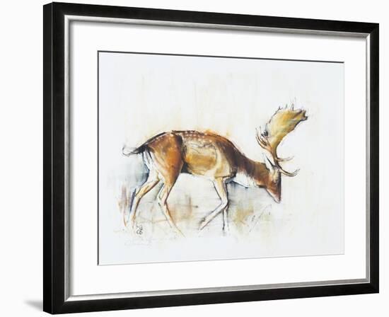 Pisanello Buck, 2006-Mark Adlington-Framed Giclee Print