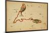 Pisces Constellation, Zodiac Sign, 1825-Science Source-Mounted Giclee Print
