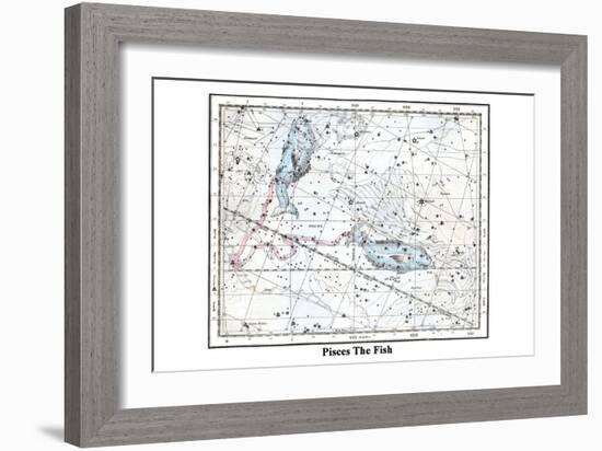 Pisces the Fish-Alexander Jamieson-Framed Art Print