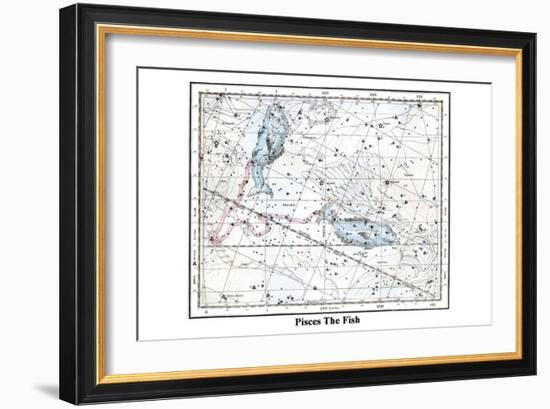 Pisces the Fish-Alexander Jamieson-Framed Art Print