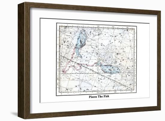 Pisces the Fish-Alexander Jamieson-Framed Premium Giclee Print