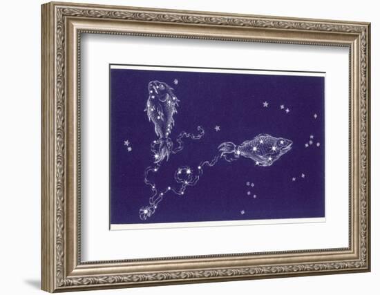 Pisces-Roberta Norton-Framed Photographic Print