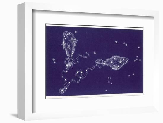 Pisces-Roberta Norton-Framed Photographic Print