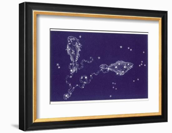 Pisces-Roberta Norton-Framed Photographic Print