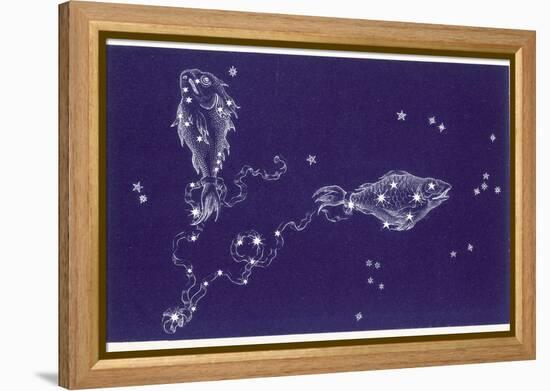 Pisces-Roberta Norton-Framed Premier Image Canvas