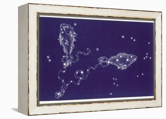 Pisces-Roberta Norton-Framed Premier Image Canvas