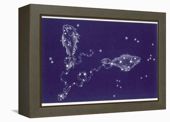 Pisces-Roberta Norton-Framed Premier Image Canvas