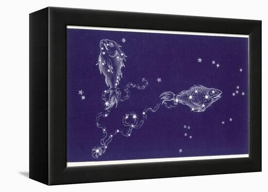 Pisces-Roberta Norton-Framed Premier Image Canvas