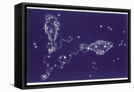 Pisces-Roberta Norton-Framed Premier Image Canvas